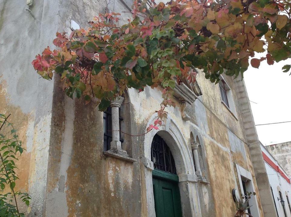 فيلا Dimora Benedetta 2 0 باري المظهر الخارجي الصورة